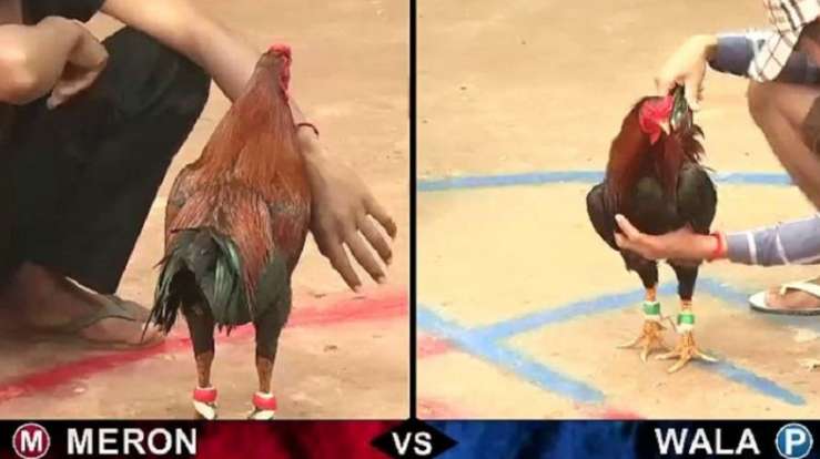 Game bài được quan tâm hiện nay - 79Win