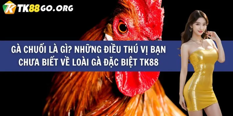 Ưu đãi đăng ký tài khoản mới 79Win - 79Win